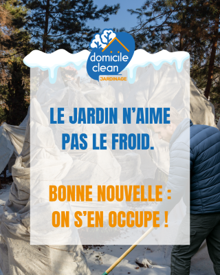 🏡 En janvier, le jardin semble au repos…